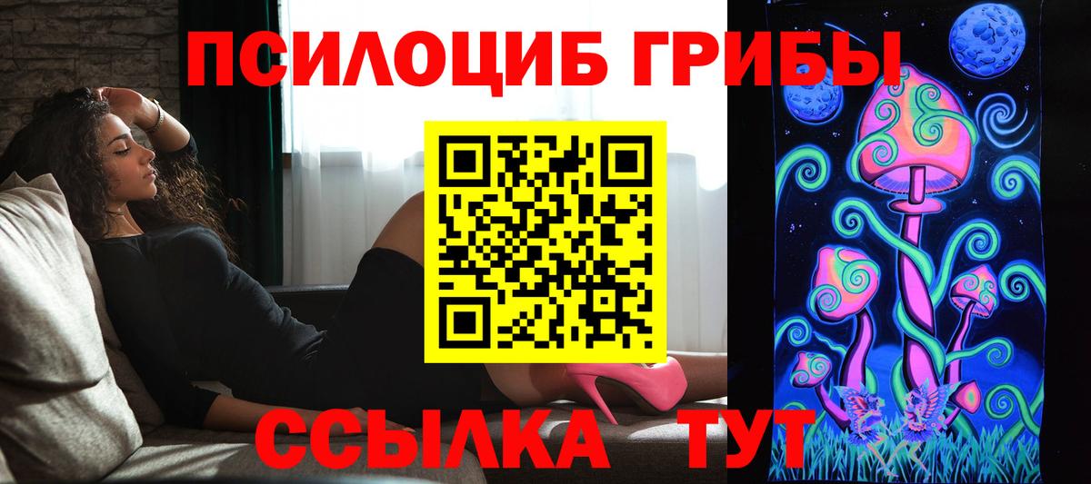 Ипатово  Галлюциногенные грибы Cubensis  Вход с VPN 