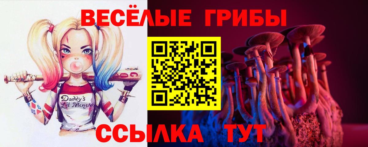 Псилоцибиновые грибы Psilocybe Ипатово